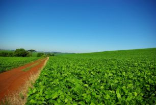 Economia verde terá investimentos do Governo