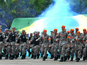 A Proposta de Emenda à Constituição 195/12 de autoria do deputado Vanderlei Siraque (PT-SP), transforma a Força Nacional em um órgão permanente de segurança nacional, com quadro de pessoal e carreira próprios.