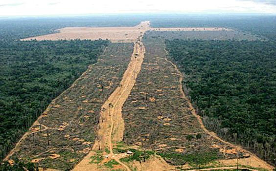 MPF denuncia Incra na Justiça como responsável por desmatamento na Amazônia MPF denuncia Incra na Justiça como responsável por desmatamento na Amazônia