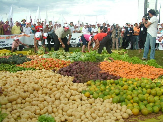 A importância da nova lei da biodiversidade na agricultura
