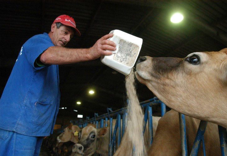Acordo entre Previdência Social e CNA agiliza aposentadoria rural