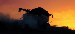 Alta dos preços do algodão, café, laranja, milho e soja influencia resultado positivo