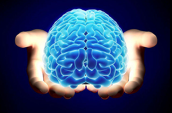 Crédito: creationsciencenews