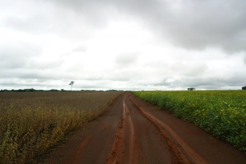 Estudo mapeia impacto de mudança climática no agronegócio Foto: Ascom Famasul