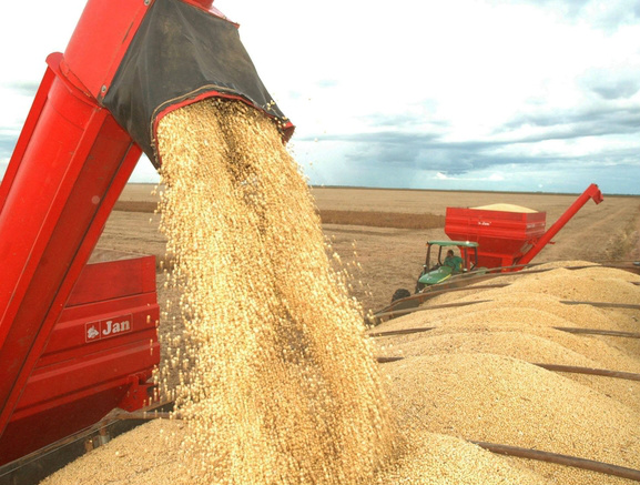Agronegócio representou em julho quase metade das exportações brasileiras