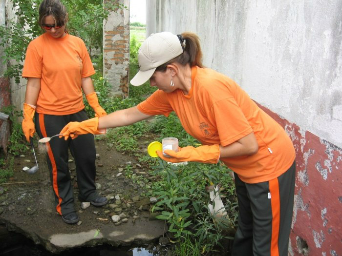 Governo acelera produção de bioinseticida que mata o Aedes aegypti Governo acelera produção de bioinseticida que mata o Aedes aegypti