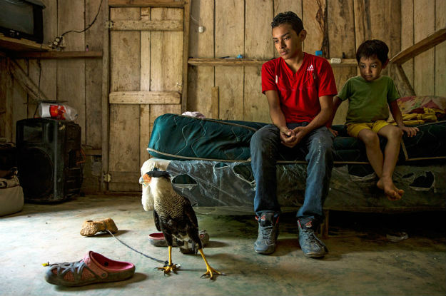 Crianças arriscam vida para fugir de violência e pobreza na América Central Milhares de crianças desacompanhadas arriscam suas vidas para fugir da violência de gangues e da pobreza na América Central. Foto: Unicef/Adriana Zehbrauskas
