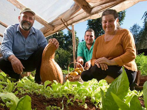 Câmara pretende ampliar proteção a agricultor familiar na reforma da Previdência Foto: Divulgação