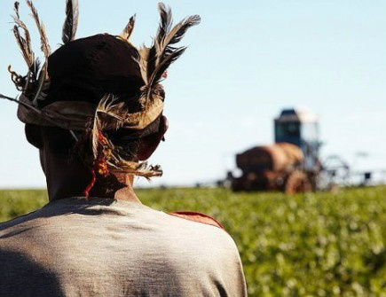 Em Iguatemi, duas fazendas foram invadidas por índios Kaiowá na semana passada