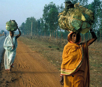 Mulheres na Índia. Foto: Banco Mundial/Curt Carnemark