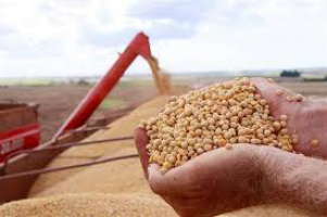 Em novembro, o preço médio da soja exportada foi de US$ 539,20/tonelada, enquanto, em outubro, esse valor era de US$ 545,10, sendo 1% maior.