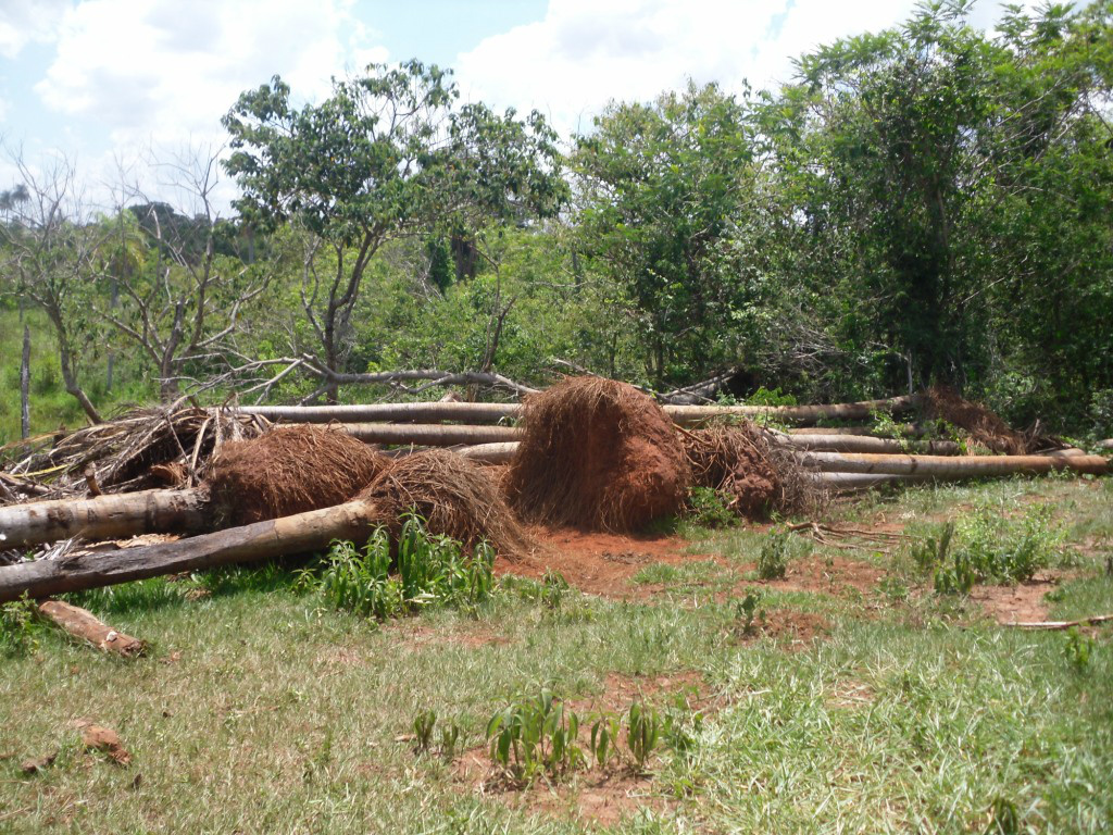 PMA autua fazendeiro em R$ 17,4 mil por desmatamento ilegal de 58 hectares
