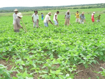 Dilma diz que agricultura familiar terá estímulo com crédito de R$ 18 bilhões Dilma diz que agricultura familiar terá estímulo com crédito de R$ 18 bilhões