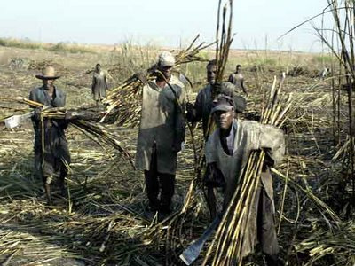 Entidades questionam decisões judiciais em Mato Grosso do Sul