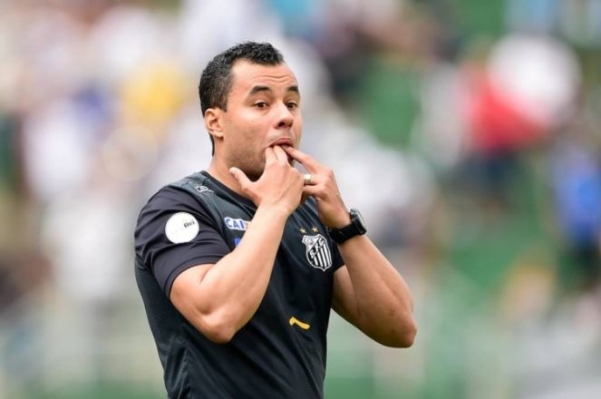 Santos busca primeira vitória contra Estudiantes na Argentina Jair Ventura tem a missão de comandar o time do Santos na Argentina (Foto: Divulgação)