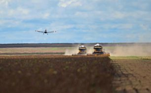 Mato Grosso do Sul, Mato Grosso, Goiás e Distrito Federal destinam, juntos, 15 milhões de hectares para a agropecuária
