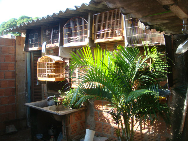 PMA autua homem em R$ 10 mil por criar 20 aves silvestres ilegalmente