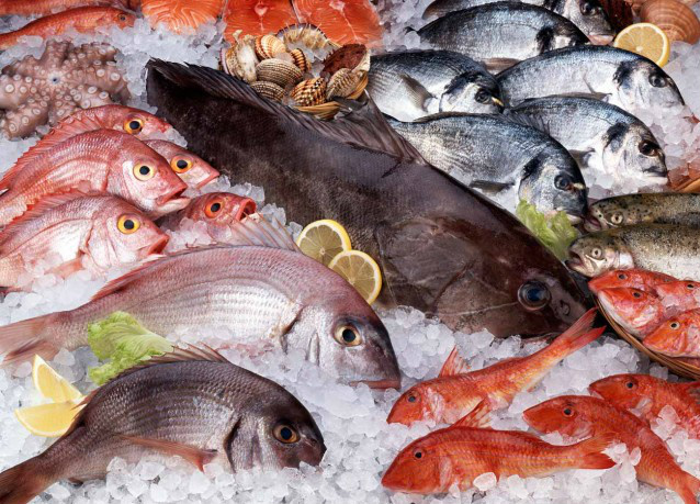 Agraer e Ministério da Pesca buscam estimular a cultura do peixe em MS