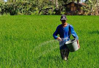 Pesquisa brasileira revela impacto do efeito estufa na agricultura Pesquisa brasileira revela impacto do efeito estufa na agricultura