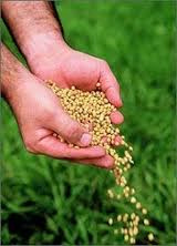 Mais oferta de crédito para médio produtor e cooperativa