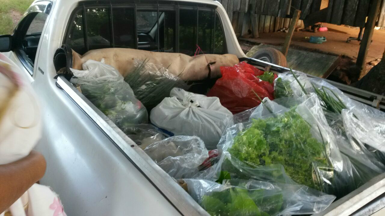Produtos da agricultura familiar entregues ao programa de Merenda Escolar de Amambai.