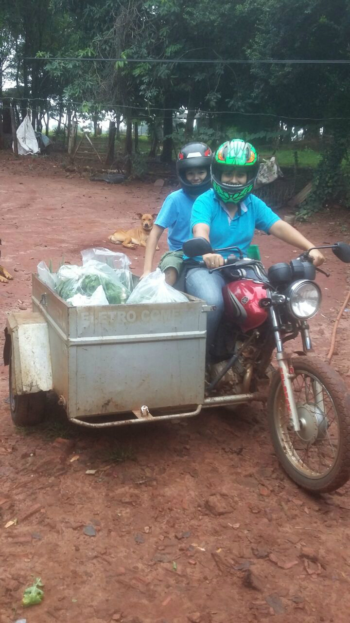 Praticamente toda a produção dos pequenos agricultores pode ser comercializada para a Merenda Escolar se o produtor tiver os requisitos legais.