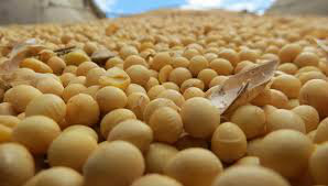 Mato Grosso do Sul fecha quadrimestre com volume recorde na exportação de soja