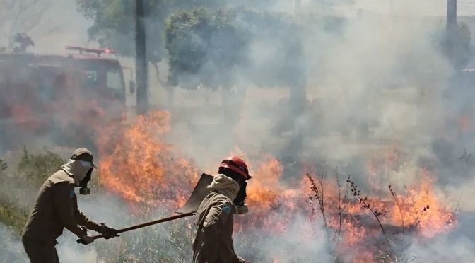Em dias de tempo seco, Bombeiros alertam: queimada é crime! Em dias de tempo seco, Bombeiros alertam: queimada é crime!