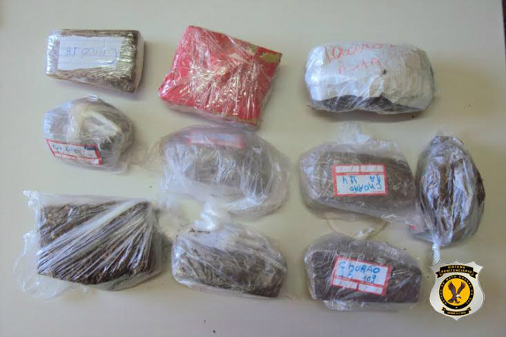 Agentes apreendem dez tabletes de maconha em penitenciária de Campo Grande