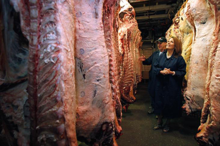 Substância para engorda de suínos e bovinos será aceita com limite máximo