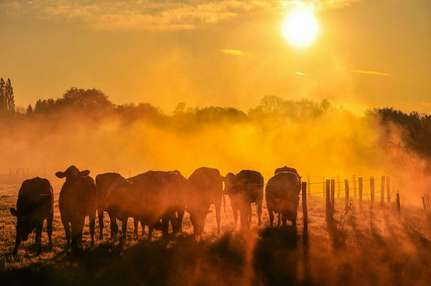 OMM afirma que El Niño vai continuar influenciando clima global