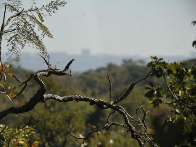 Bolsa Verde comprova eficácia na proteção da biodiversidade