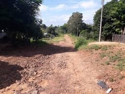 Rua José Pereira Machado, registro fotográfico feito em 2019 / Foto: Assessoria 