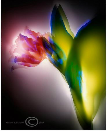 Aura, corpo de energia vital Aura, corpo de energia vital