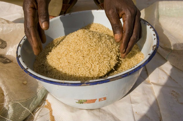 Óleos vegetais ditaram subida ligeira de preços dos alimentos em setembro Foto: Divulgação