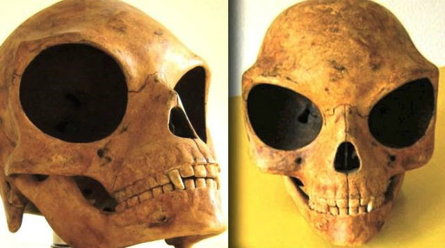 Mito ou verdade: Crânio alienígena de 800 anos intriga os cientistas