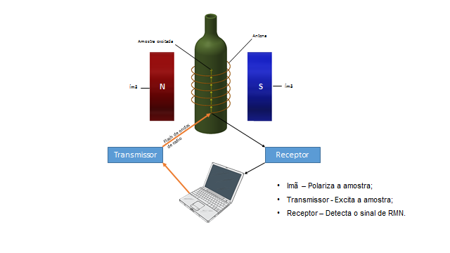 Ressonância magnética investiga padrão de qualidade de alimentos Ressonância magnética investiga padrão de qualidade de alimentos