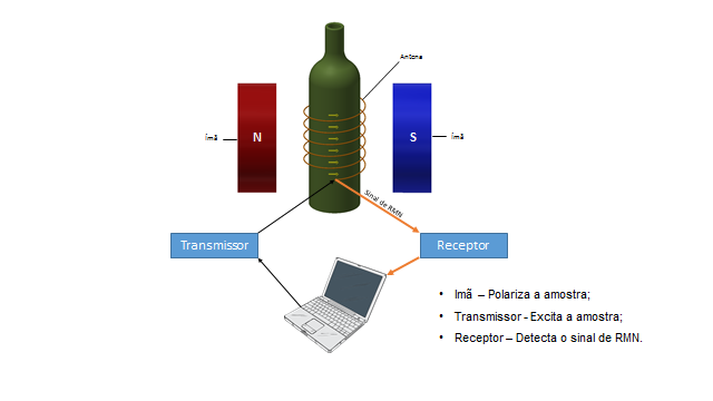 Ressonância magnética investiga padrão de qualidade de alimentos Ressonância magnética investiga padrão de qualidade de alimentos