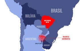 Gafanhotos da Argentina não ameaçam MS, afirma doutor em entomologia Gafanhotos da Argentina não ameaçam MS, afirma doutor em entomologia