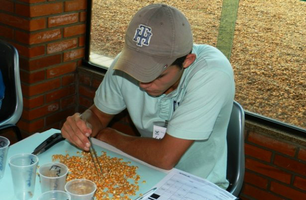 Senar/MS realiza mais de 150 cursos gratuitos no último mês do ano No último mês do ano, a instituição realizará 151 capacitações gratuitas junto aos sindicatos rurais e demais parceiros.