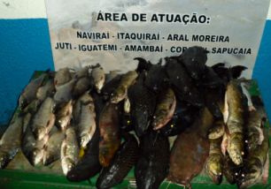 Dupla foi detida por agentes da Polícia Militar Ambiental. Crime ambiental ocorreu no município de Naviraí, região sul do estado.