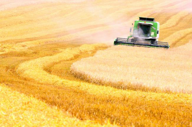 Produtividade agrícola do Brasil cresce mais do que a mundial