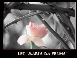 Ao completar cinco anos, Lei Maria da Penha é tema de seminário