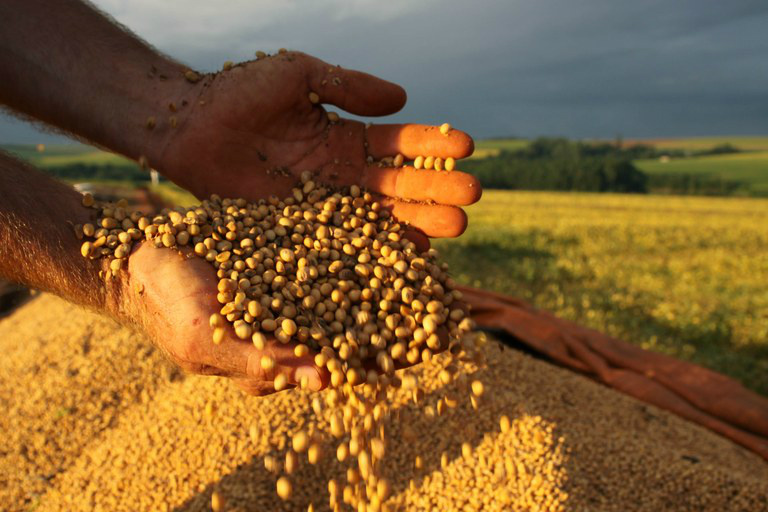Cobertura mínima do seguro rural passa a ser de 60% Cobertura mínima do seguro rural passa a ser de 60%