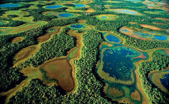 Ensaio fotográfico mostra a vida no Pantanal