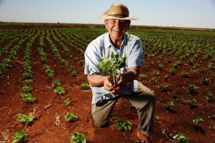 Agricultores têm até o dia 30 para participar do edital Kit-feira Foto: Divulgação