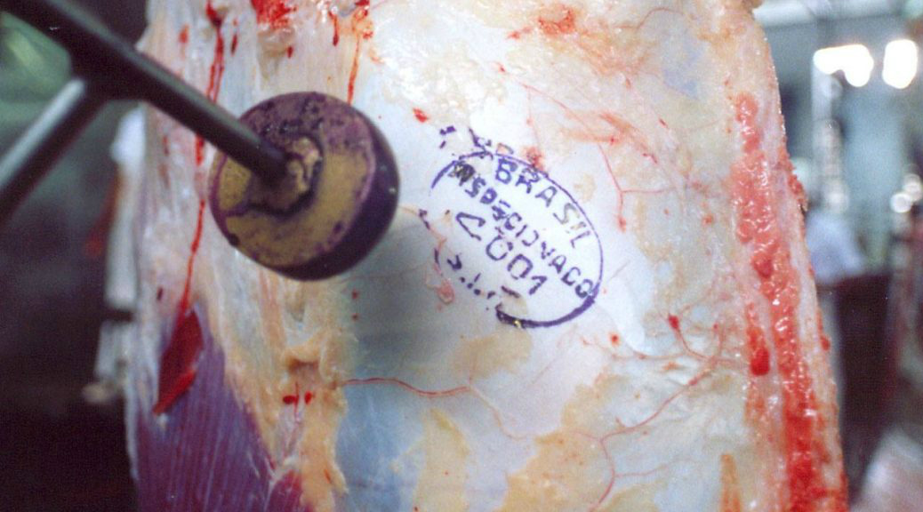 Exportação de carne registra alta de 9% na média diária de março Foto: Divulgação