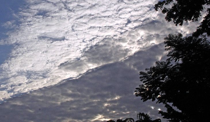 Meteorologia prevê frio intenso e geada para a segunda quinzena de julho Foto: Divulgação