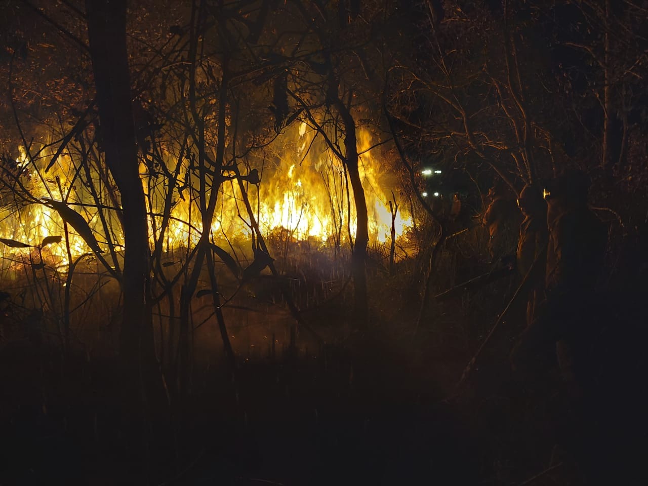 Operação Panemorfi: bombeiros trabalham durante à noite para conter incêndio Foto: Reprodução