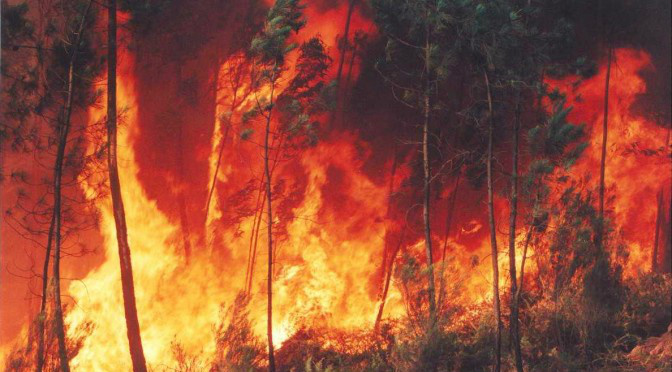 Em tempos de seca, veja como evitar queimadas e proteger sua saúde